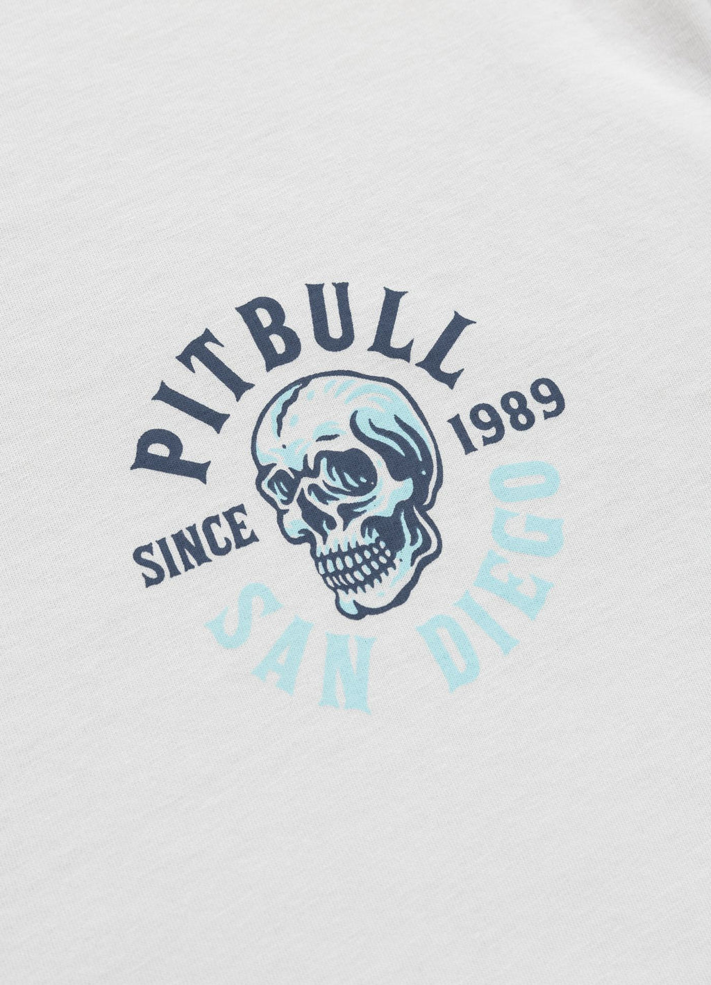 Koszulka męska SKULL SURF