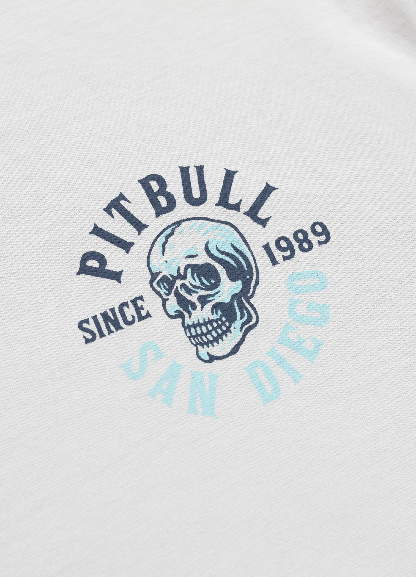 Koszulka męska SKULL SURF