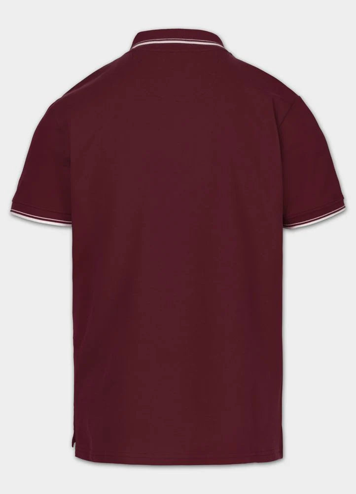 Koszulka Polo Pique STRIPES REGULAR