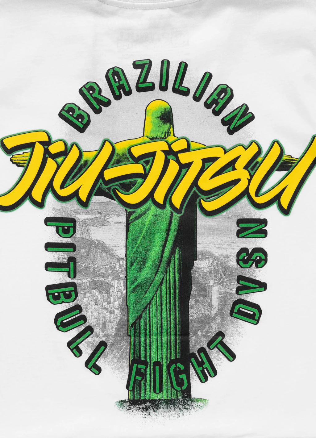 Koszulka męska BJJ FIGHT DVSN