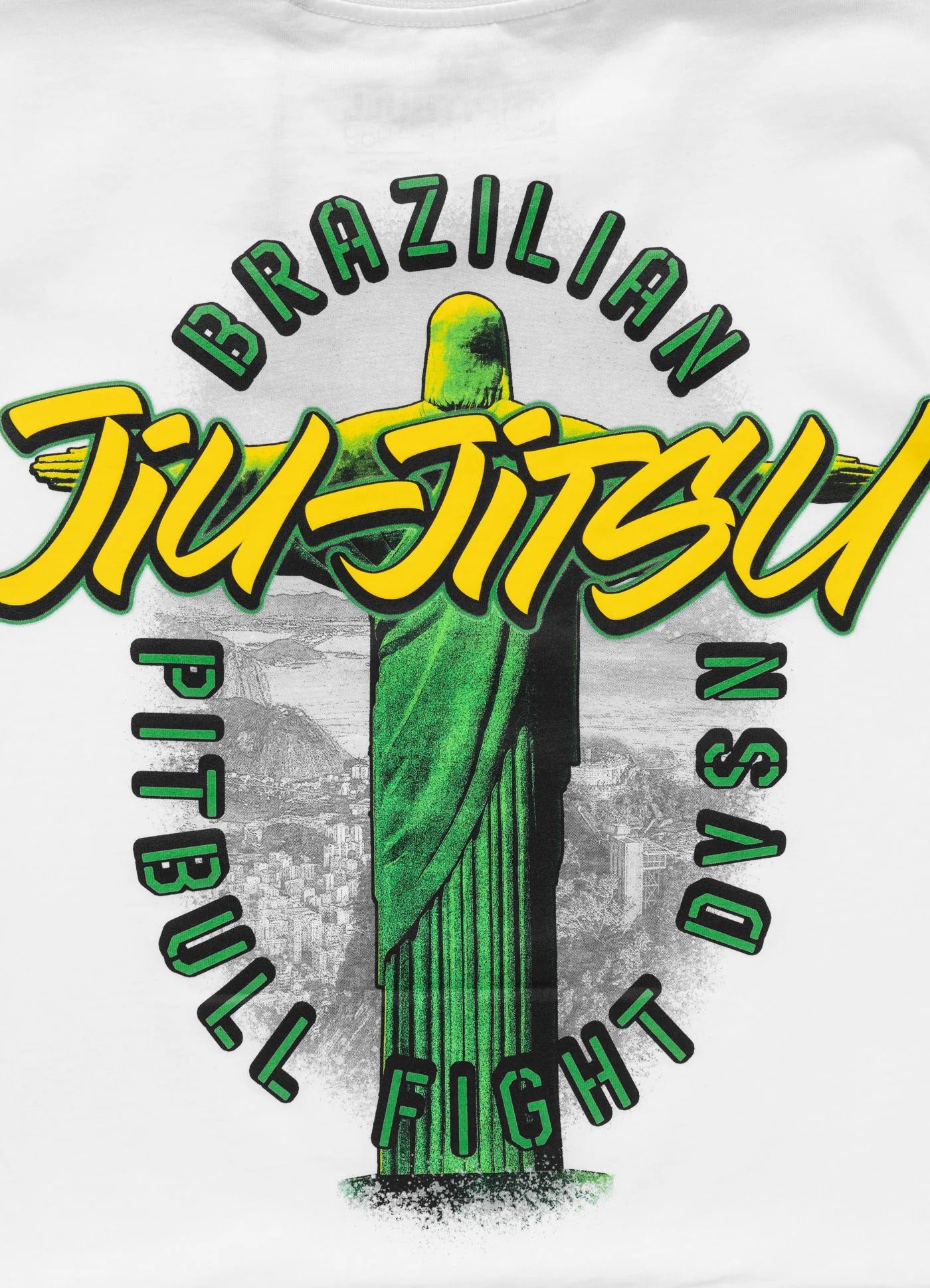 Koszulka męska BJJ FIGHT DVSN
