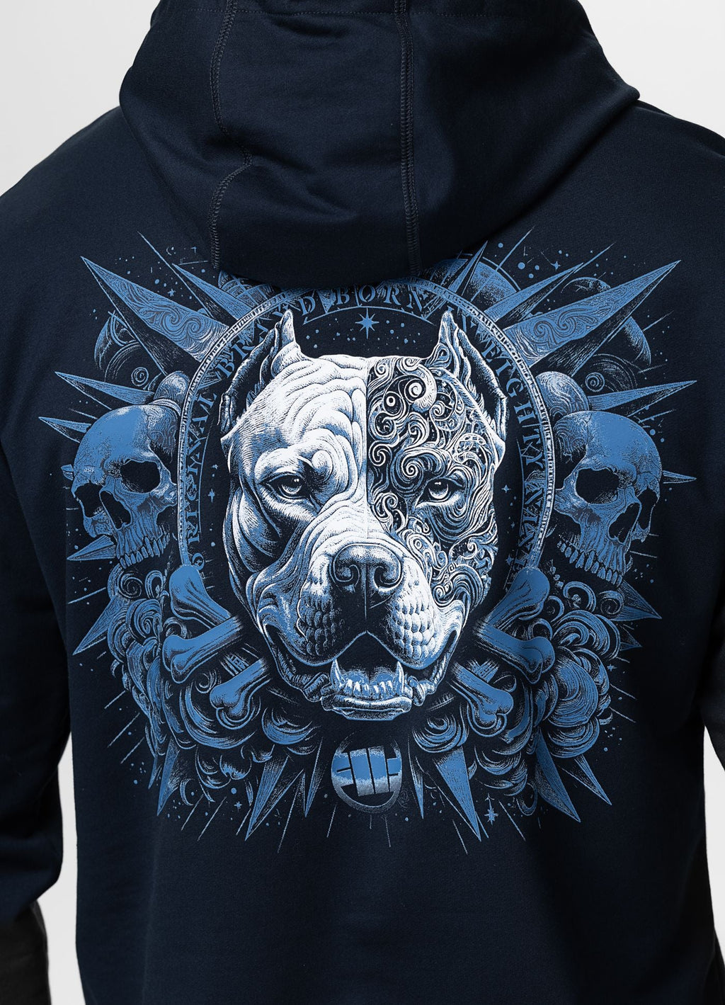 Bluza z kapturem Pitcloths WORLD