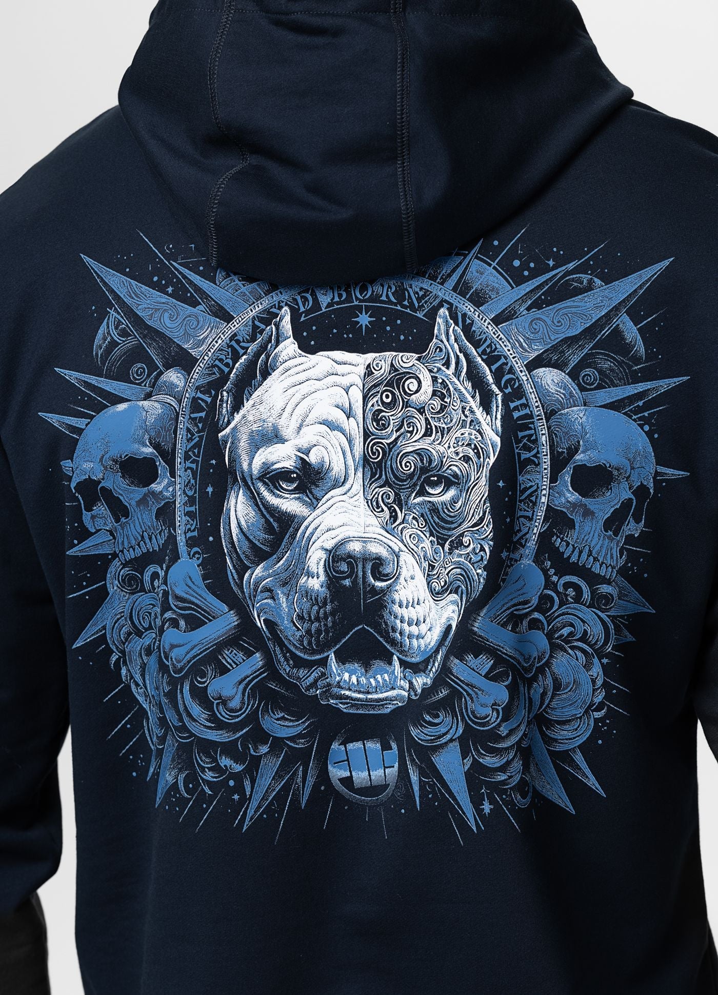 Bluza z kapturem Pitcloths WORLD