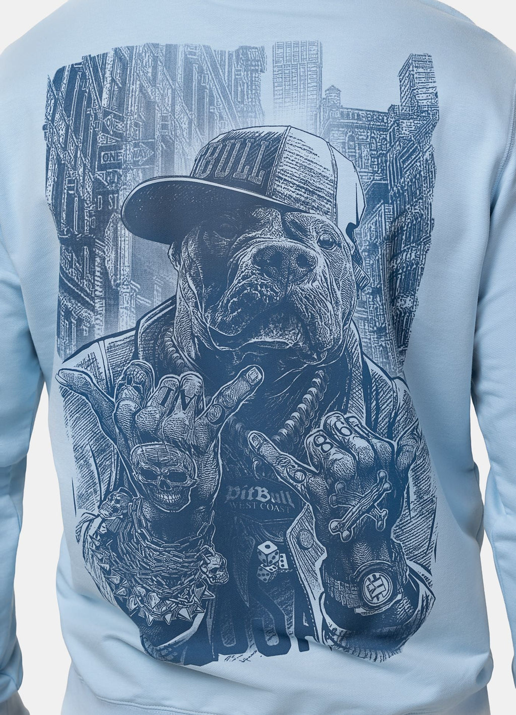 Bluza z kapturem USA