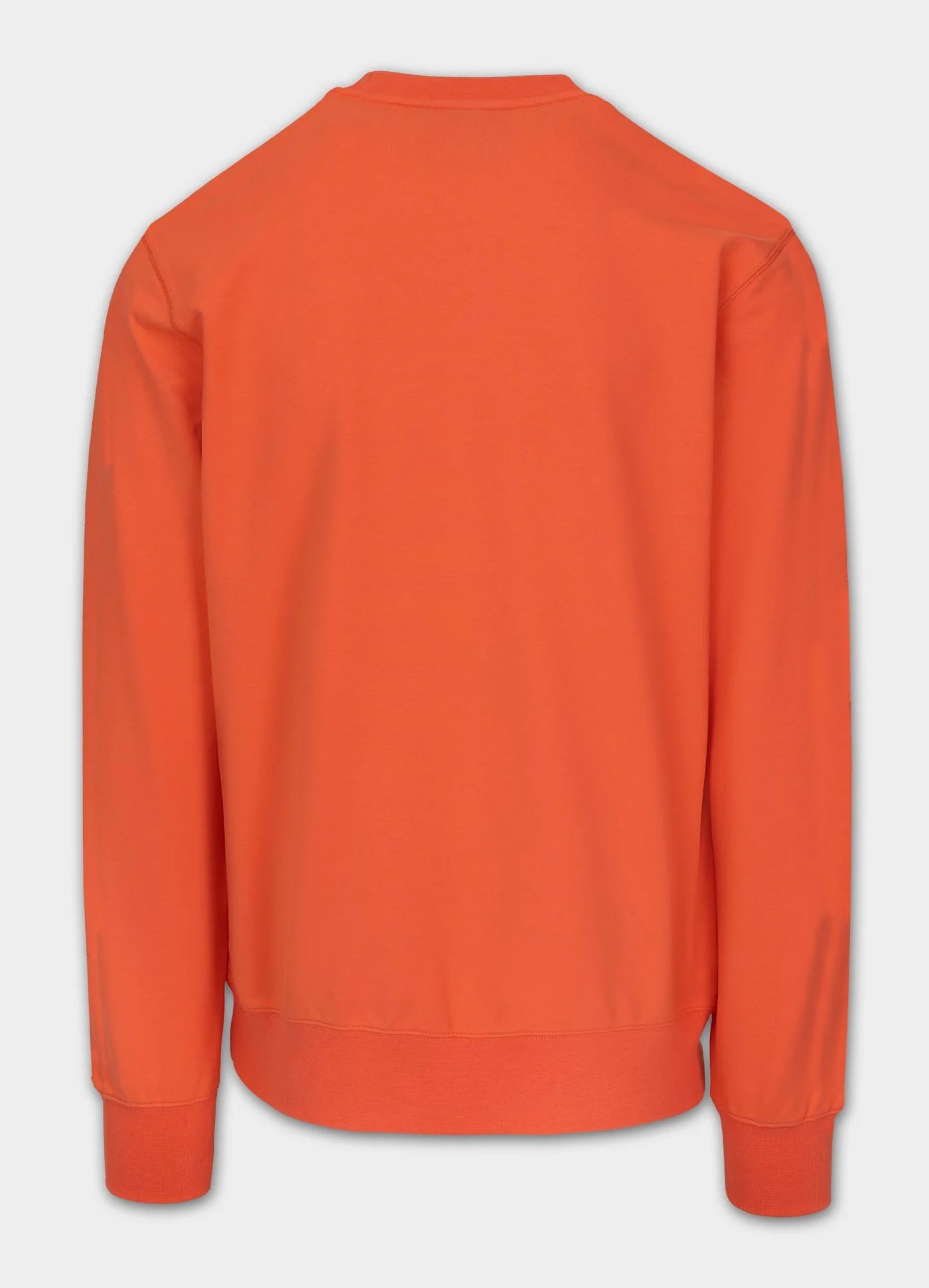 Bluza SMALL LOGO NUGGET